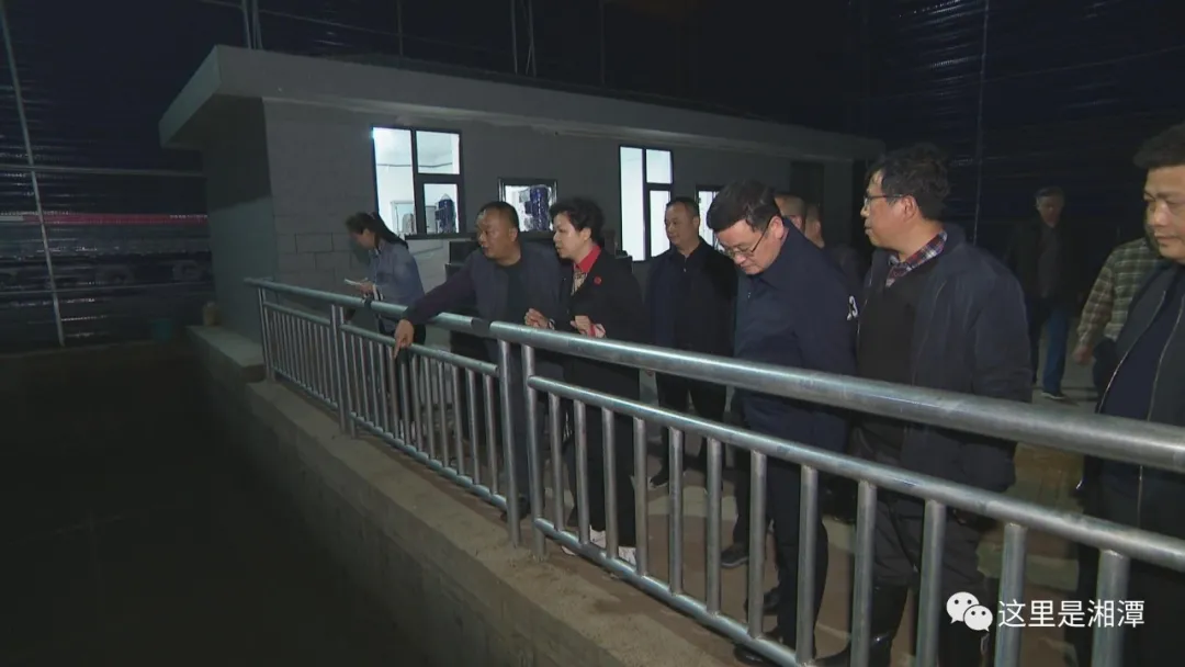 重视突出环境问题整改，湘潭市长张迎春夜访企业
