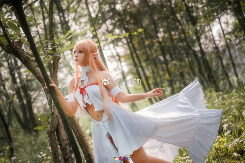 是行酱吖丨《刀剑神域》亚丝娜