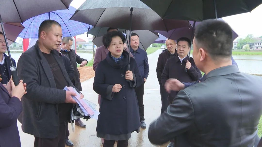 “九个迅速”硬措施​，湘潭市再次掀起早稻生产新高潮！