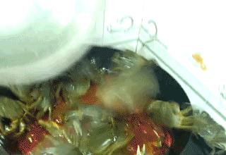 搞笑有趣的GIF图片：今天同学说留一桌女的和我聚会