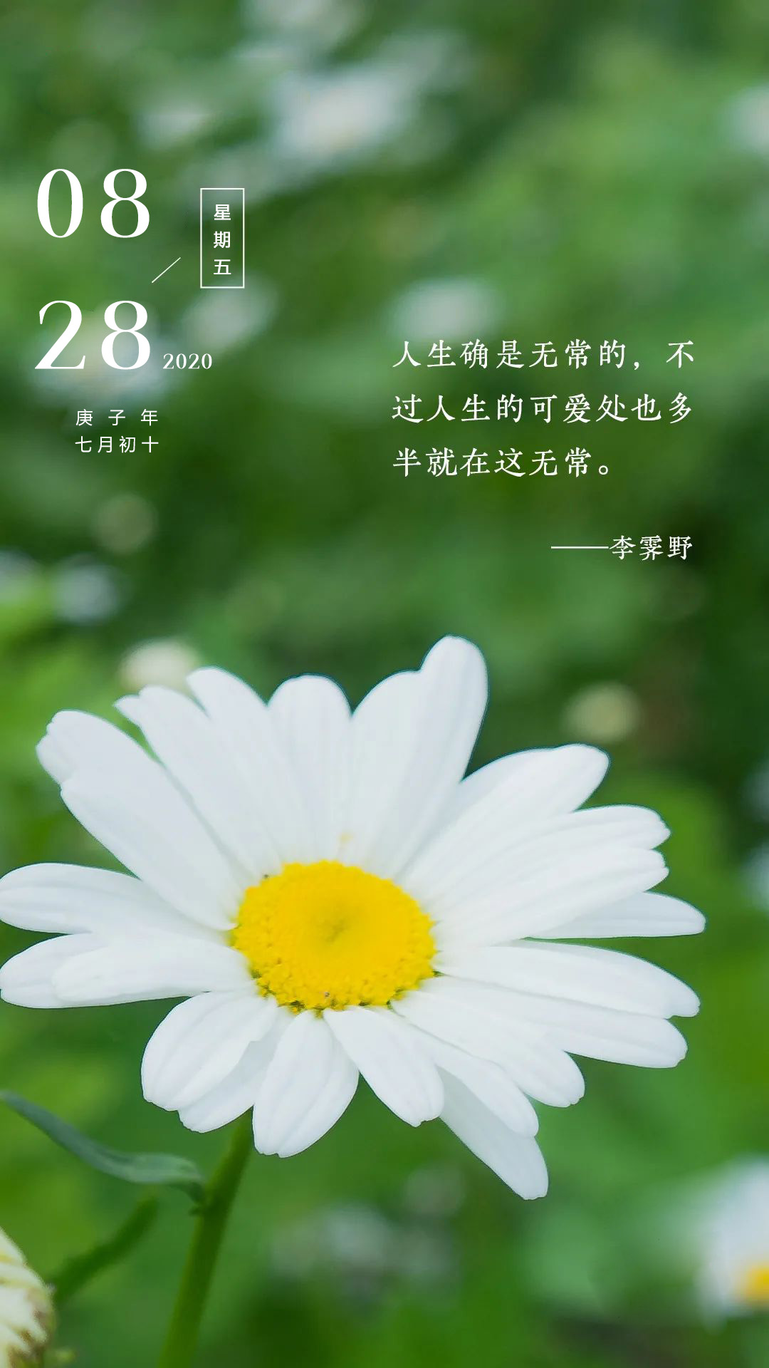 正能量励志早上好说说语录配图片
