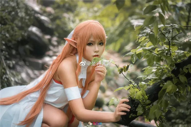 是行酱吖丨《刀剑神域》亚丝娜