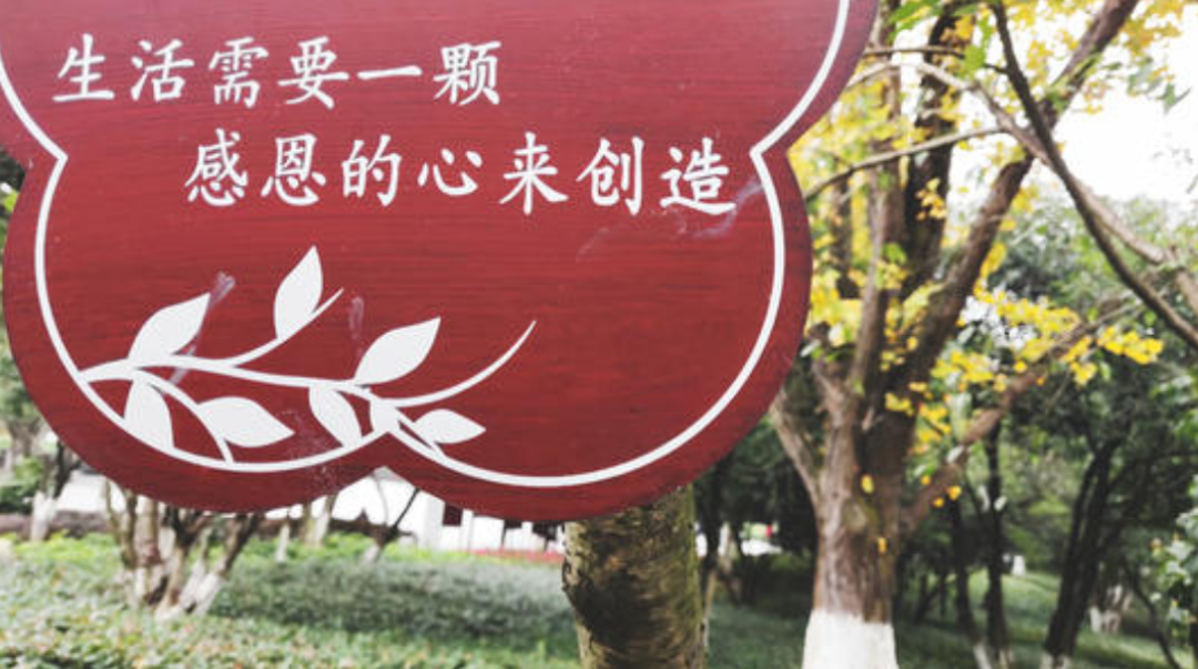 被学校批评过洋节惹全网共怒，哈工大这位宿管阿姨太冤了
