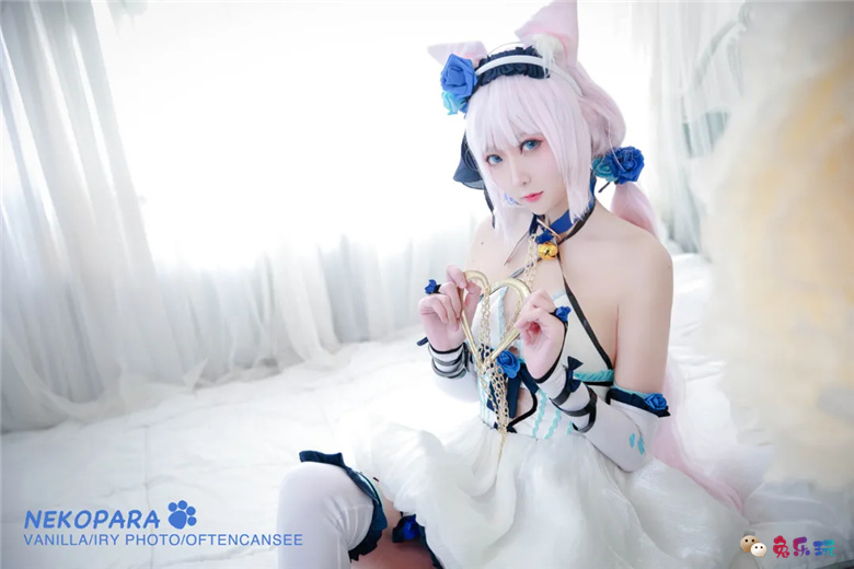 艾瑞有点甜图包合集精选丨猫娘乐园·香草