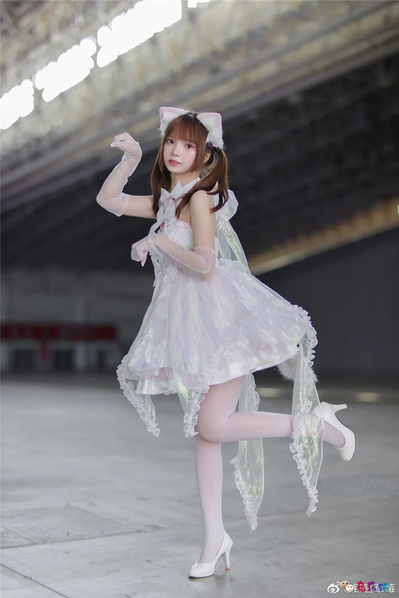 钉宫草莓丨小猫咪