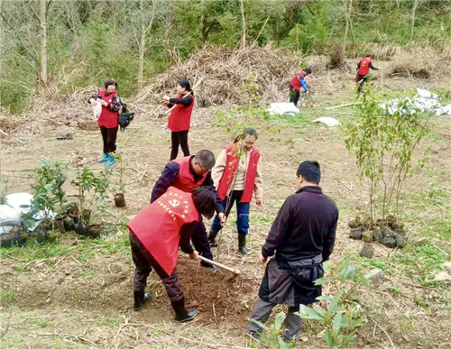 永康市红十字会联合市自然资源和规划局开展义务植树活动