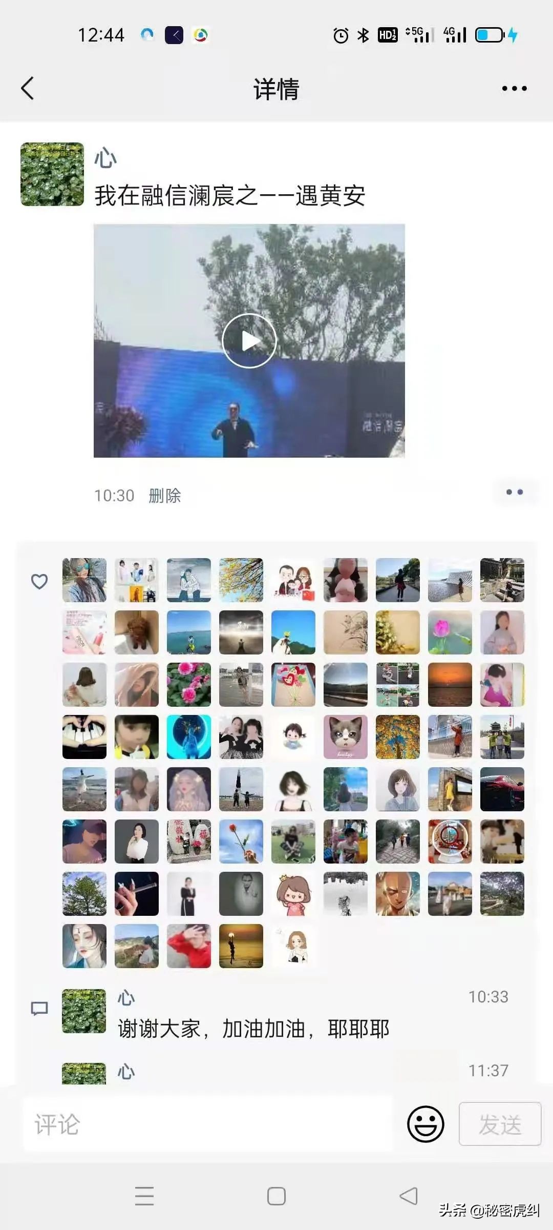 点击查看大图