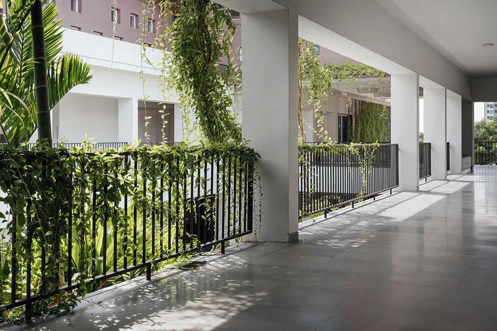 艺术与设计 - 庭院景观让校园生动多彩 | 印度northstar学校