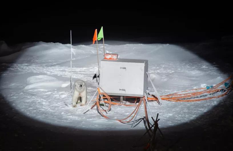 北极科考：300名科学家在北冰洋上漂一年