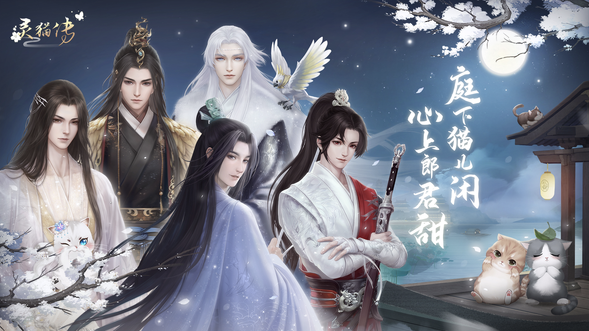 《灵猫传》公测定档，朝夕光年首款女性向游戏要来了？！