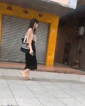 搞笑动图：明明你动了情，却又不靠近！