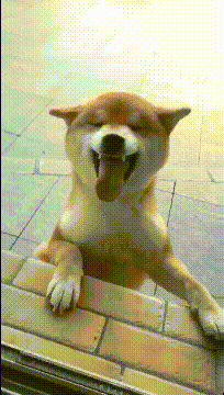 TA大笑的样子