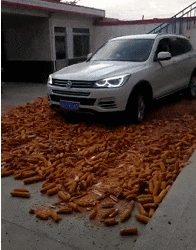 搞笑有趣的GIF图片：今天同学说留一桌女的和我聚会