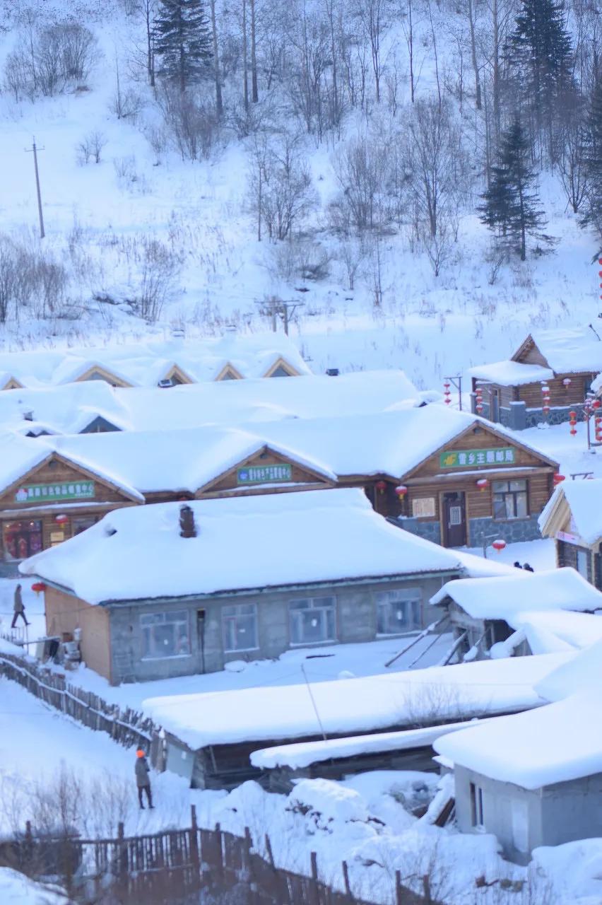 看了北方的雪忽然就想恋爱了