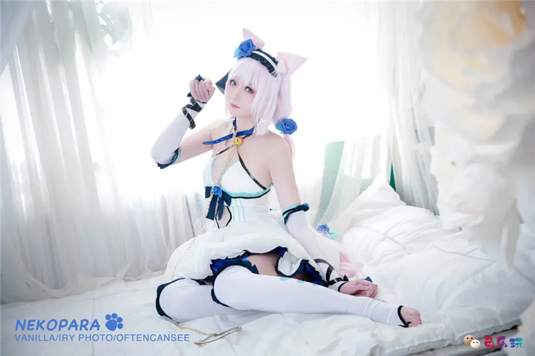 艾瑞有点甜图包合集精选丨猫娘乐园·香草