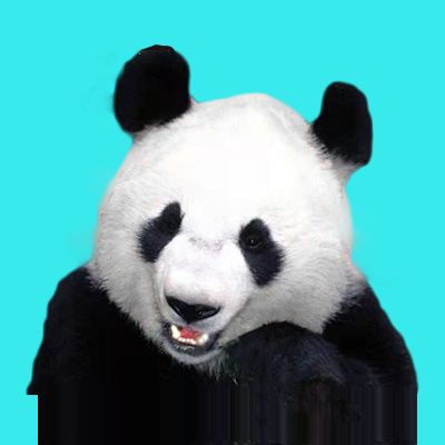 先见尚运动