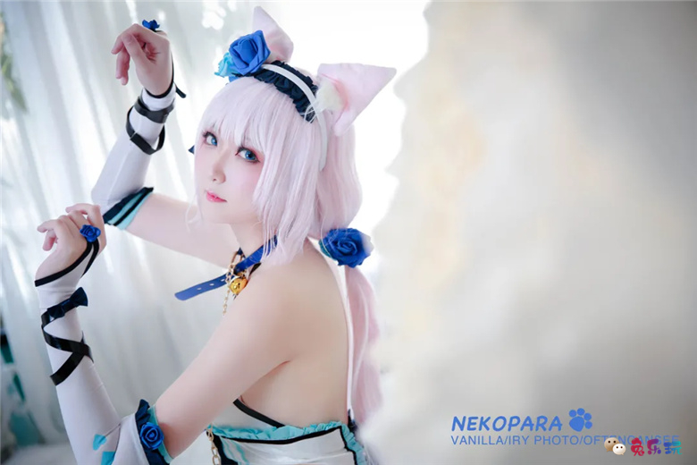 艾瑞有点甜图包合集精选丨猫娘乐园·香草