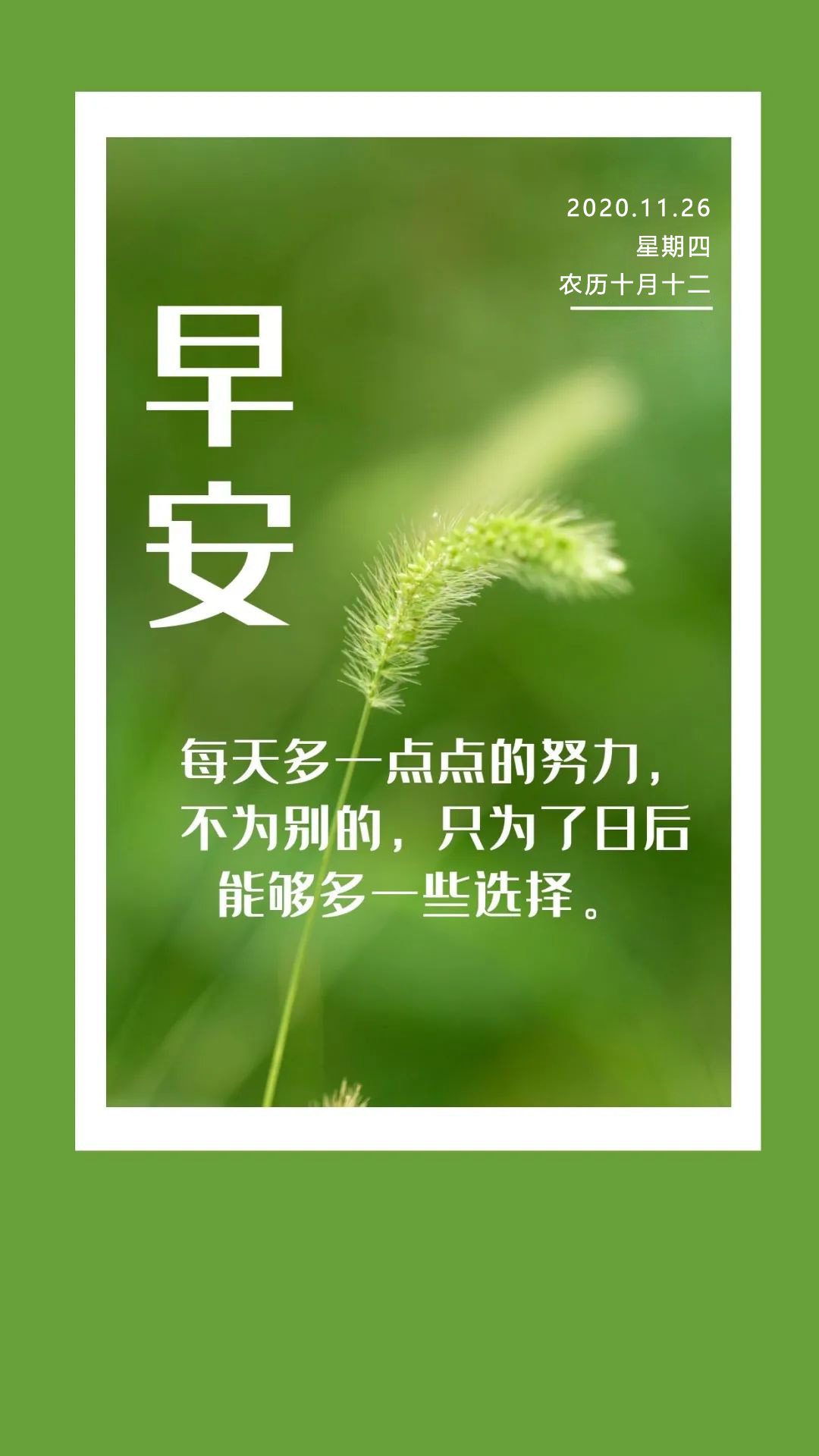 感恩节早安图片日签，感恩节正能量阳光早上好问候语录