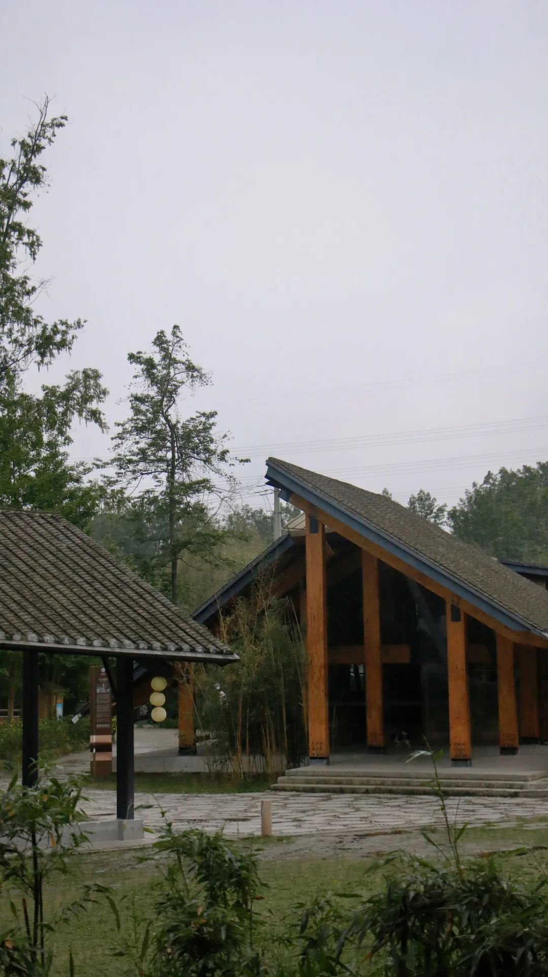 28宿竹里民宿体会竹林间的艺文妙趣感受崇州传统文化礼遇