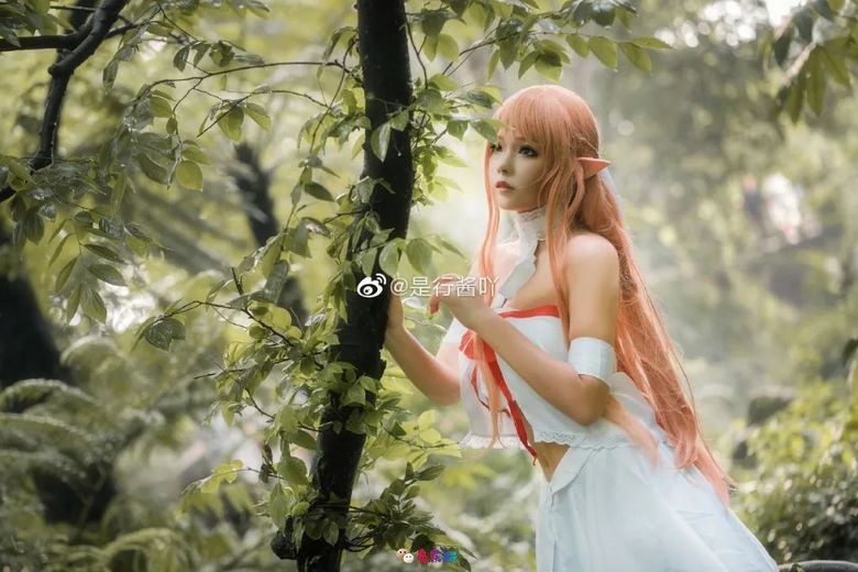 是行酱吖丨《刀剑神域》亚丝娜