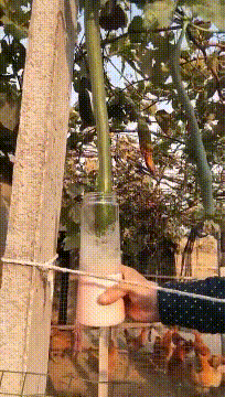 榨最新鲜的汁，拉最薄的稀
