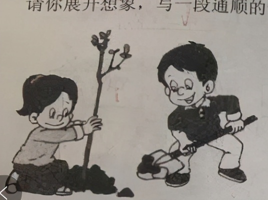 三个人植树看图写话图片