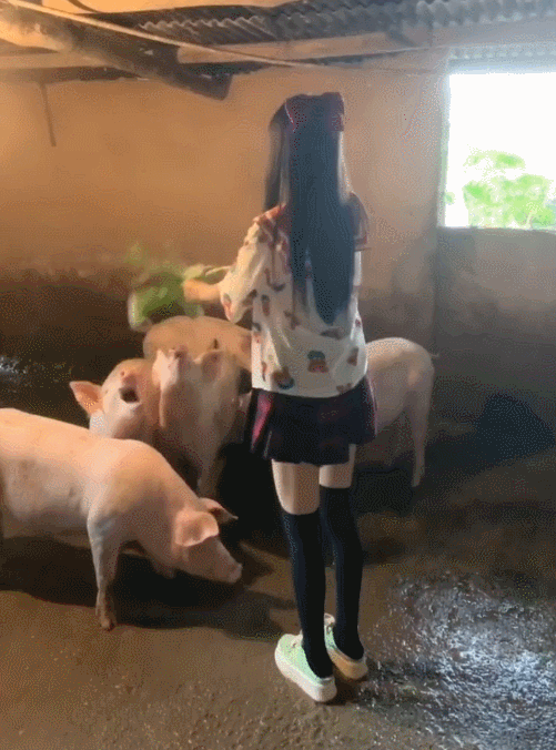 笑到肚子疼的GIF:你这么对新娘子开玩笑,迟早有一天坟头会长草的