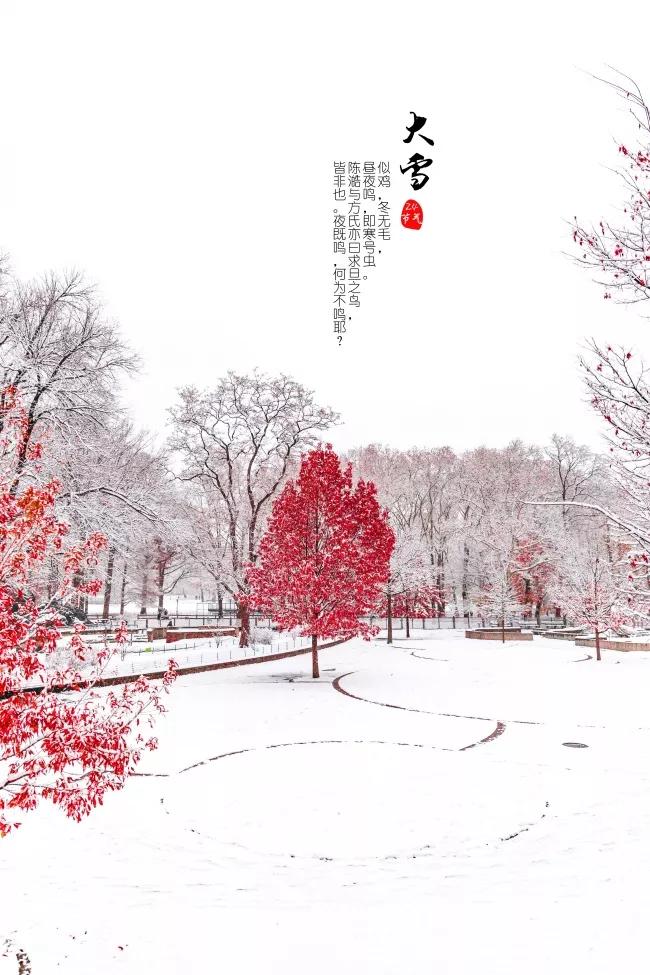 大雪节气问候语简短带祝福图片