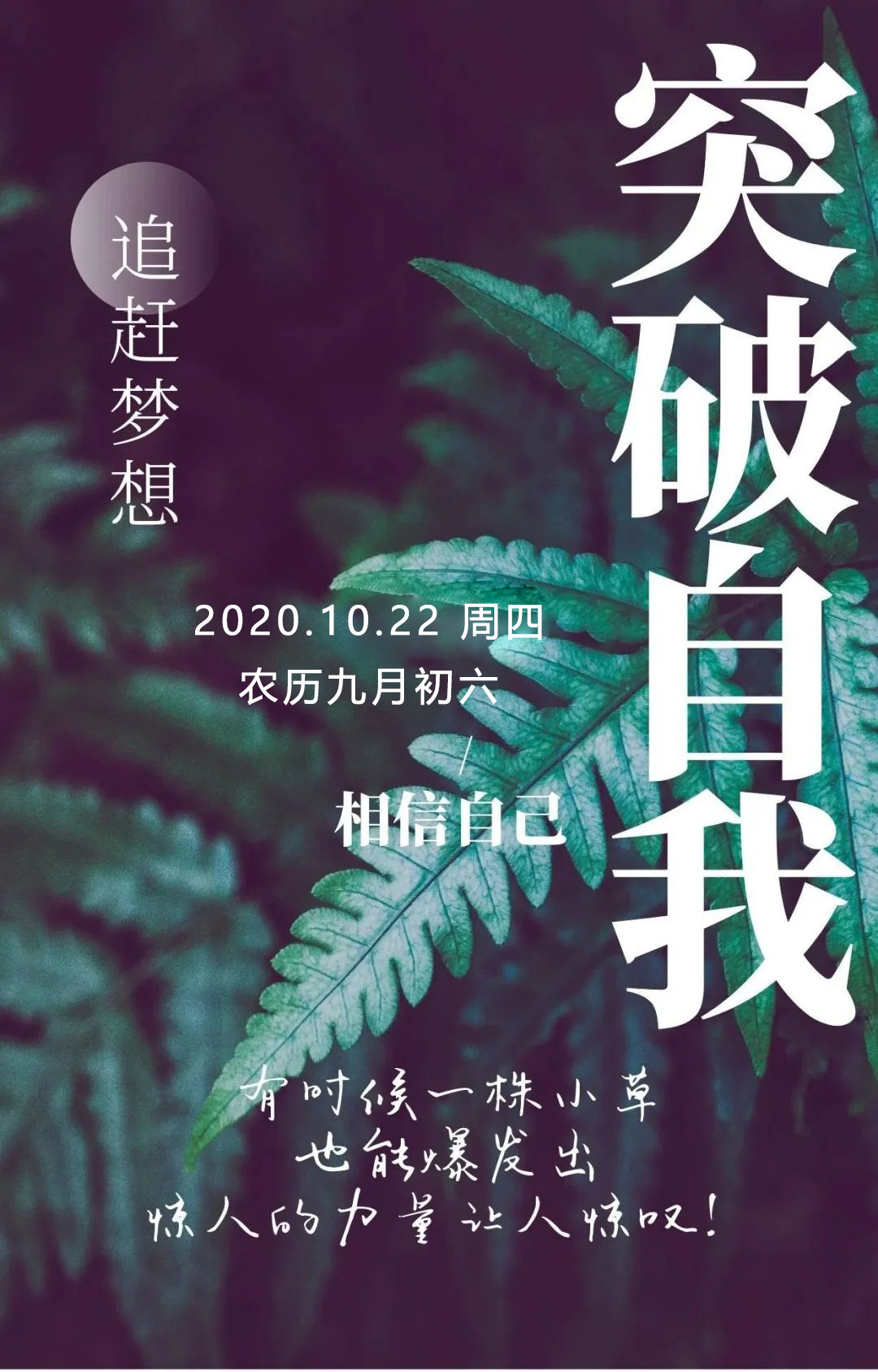 星期四早上好励志激励语图片：未来很长，我不想输！