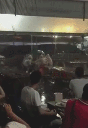 好笑的动态图片：二哈遇到大哥，行匍匐之礼！