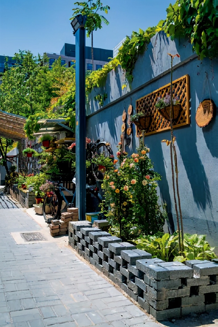 胡同微花园空地改造,也有诸多可能.