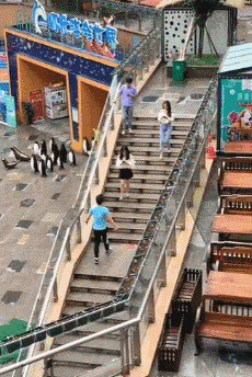 搞笑动图:人家妹子都准备好了,你在干什么啊!过分了!
